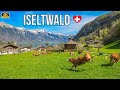 Le plus beau village diseltwald en suisse  lac de brienz 4k