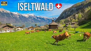 Most beautiful village Iseltwald in Switzerland - Lake Brienz 4K