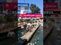 منتجع و مطعم الفلامنجو في اسطنبول مكان هادئ و جميل وبعيد عن أزمة السياح المكان في الجزء الآسيوي