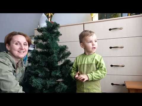 Жовто-синій Слава Україні! / #bogdanlife #новийрік2022 #vlogmas2022