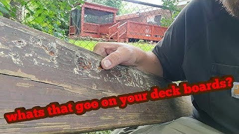 So what really is that SAP or GOO coming out of your deck boards ❓