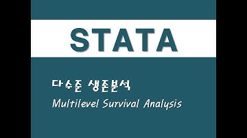 STATA를 활용한 생존분석 - (13) 다수준 생존분석(Multilevel Survival Analysis)
