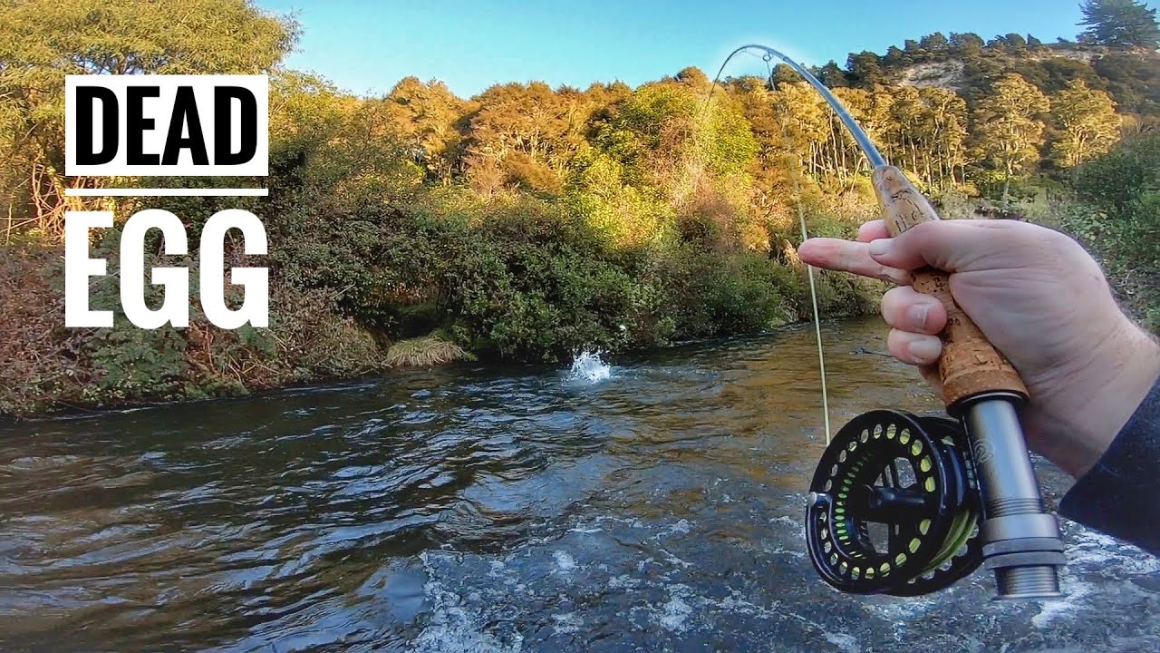 EPIC close range Dead Egg Fishing! YouTube
