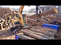 Process of mass producing 10000 tons of oak firewood largest firewood manufacturing factory