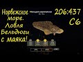 Ловля Бельдюги с маяка на Норвежском море. рр4
