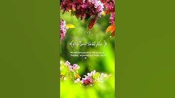 عبدالرحمن مسعد⁦❤️⁩✨#عبدالرحمن_مسعد #عبدالرحمن_مسعد_تلاوة_جديدة #قراءن كريم #shortvideo