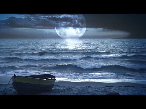 Sonidos de la Naturaleza - Sonido del Mar y del Bosque: Dormir y Calmar la Mente