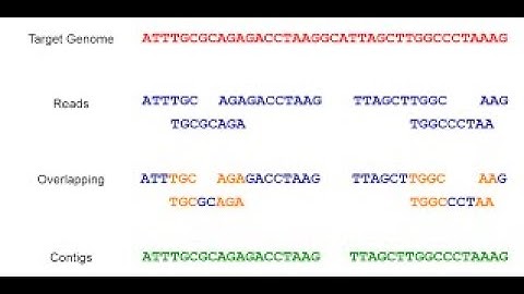 Sequence Alignment || sequence alignment in bioinformatics || Basics of Sequence Alignment