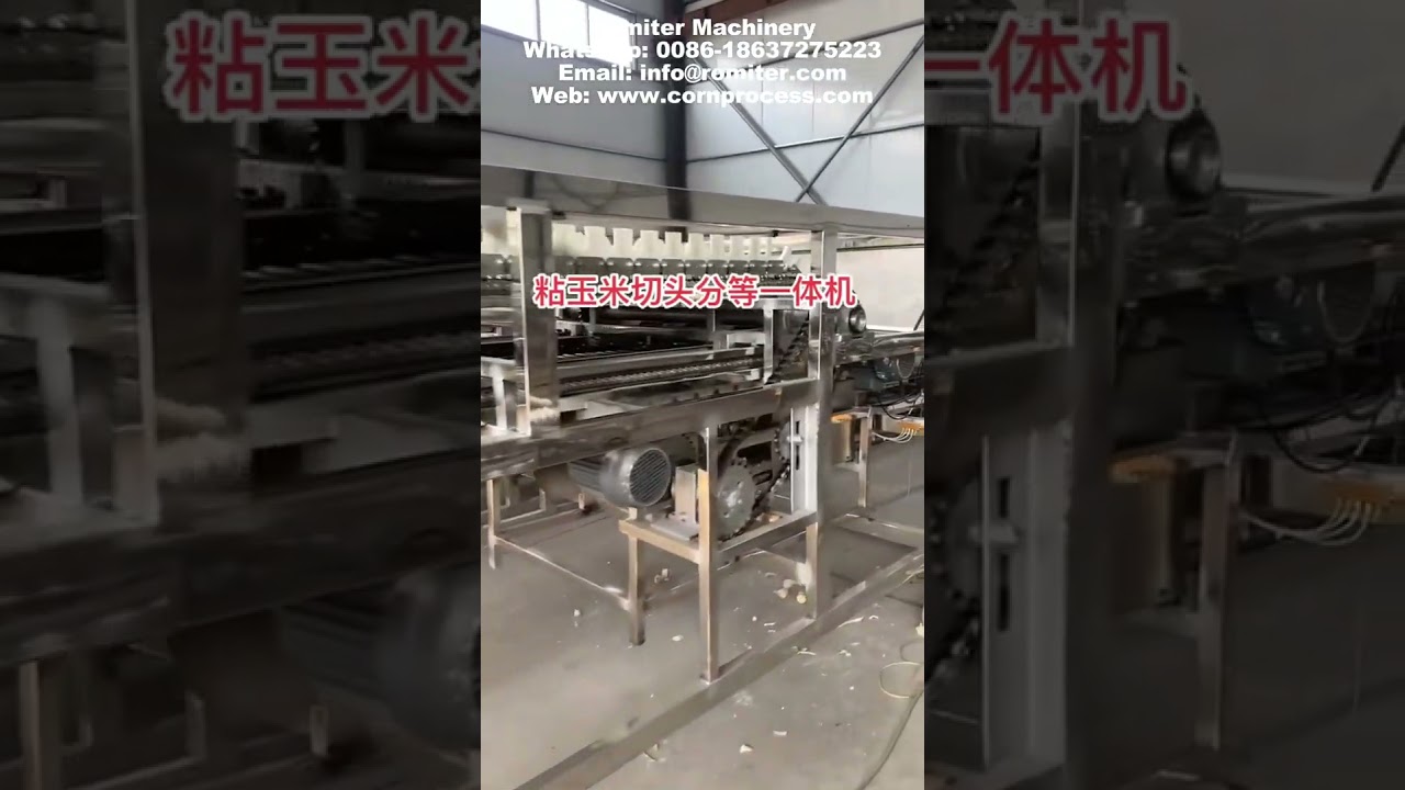 Full Automatic Corn Cob Double Head Cutting Machine with Auto Position Push Function
