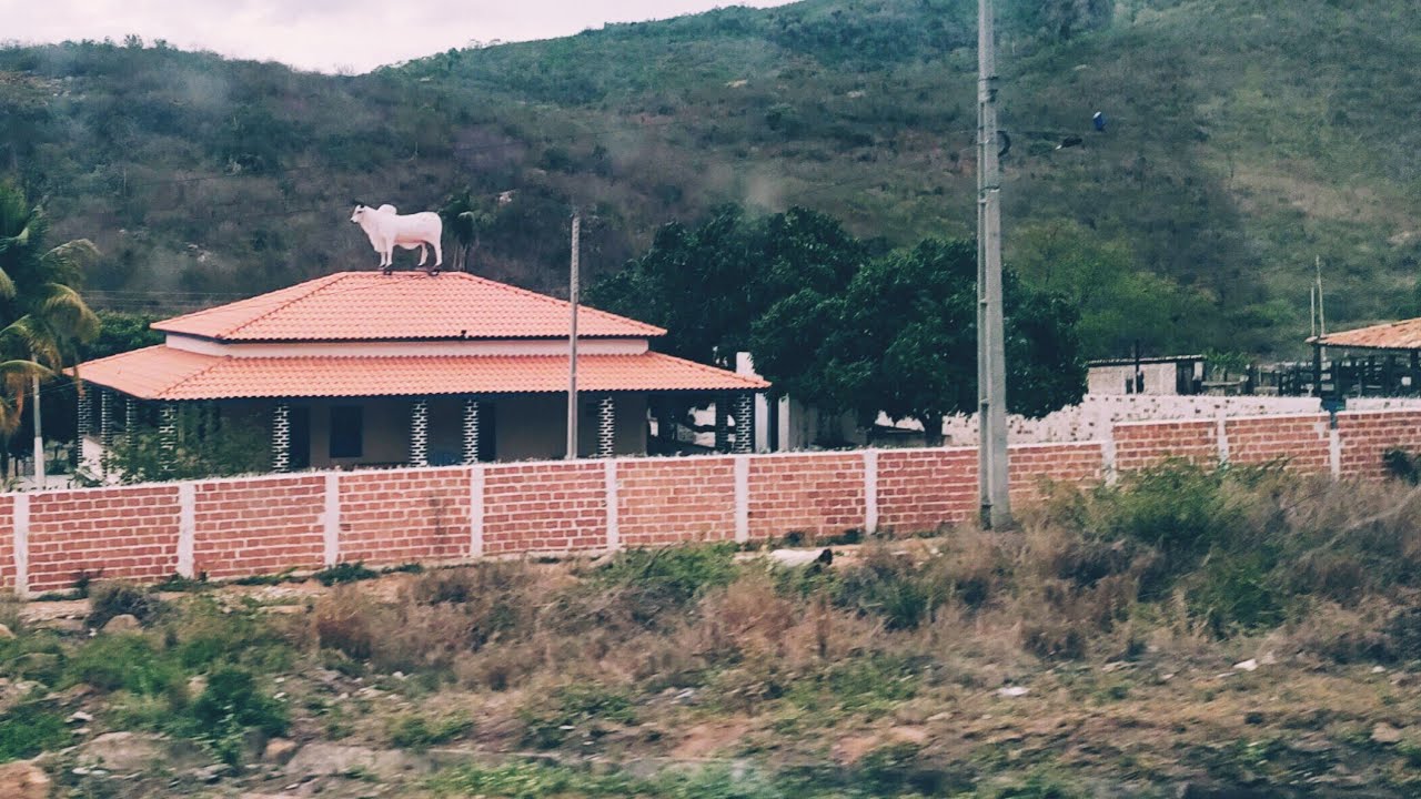 BR 116 ITATIM, MILAGRES, NOVA ITARANA, IRAJUBA, LAFAIETE COUTINHO, JEQUIÉ. 25/11/2024.