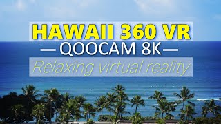 Hawaii - Honolulu Beach 360 VR Experience (QooCam 8K)