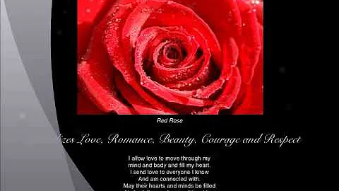 Sacred Rose Garden  - Rest In My Love