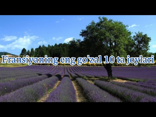 yalangoch ayollardagi shimlar