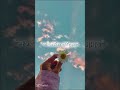💗💗#love song#ilove this song#stickma beautiful#love bired#song