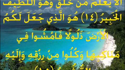 من أجمل الاصوات روعة سورة الملك للقارئ أنس العمادي.wmv