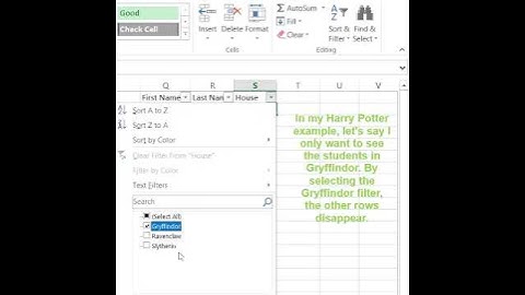 Use filters to simplify your data #shorts #excel #filter