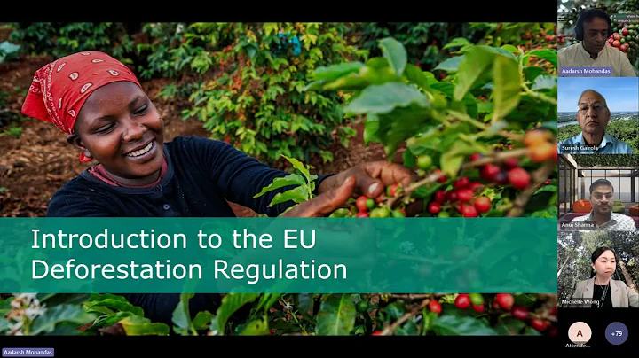 EUDR solutions: Introduction to the FSC Regulatory Module & FSC Trace