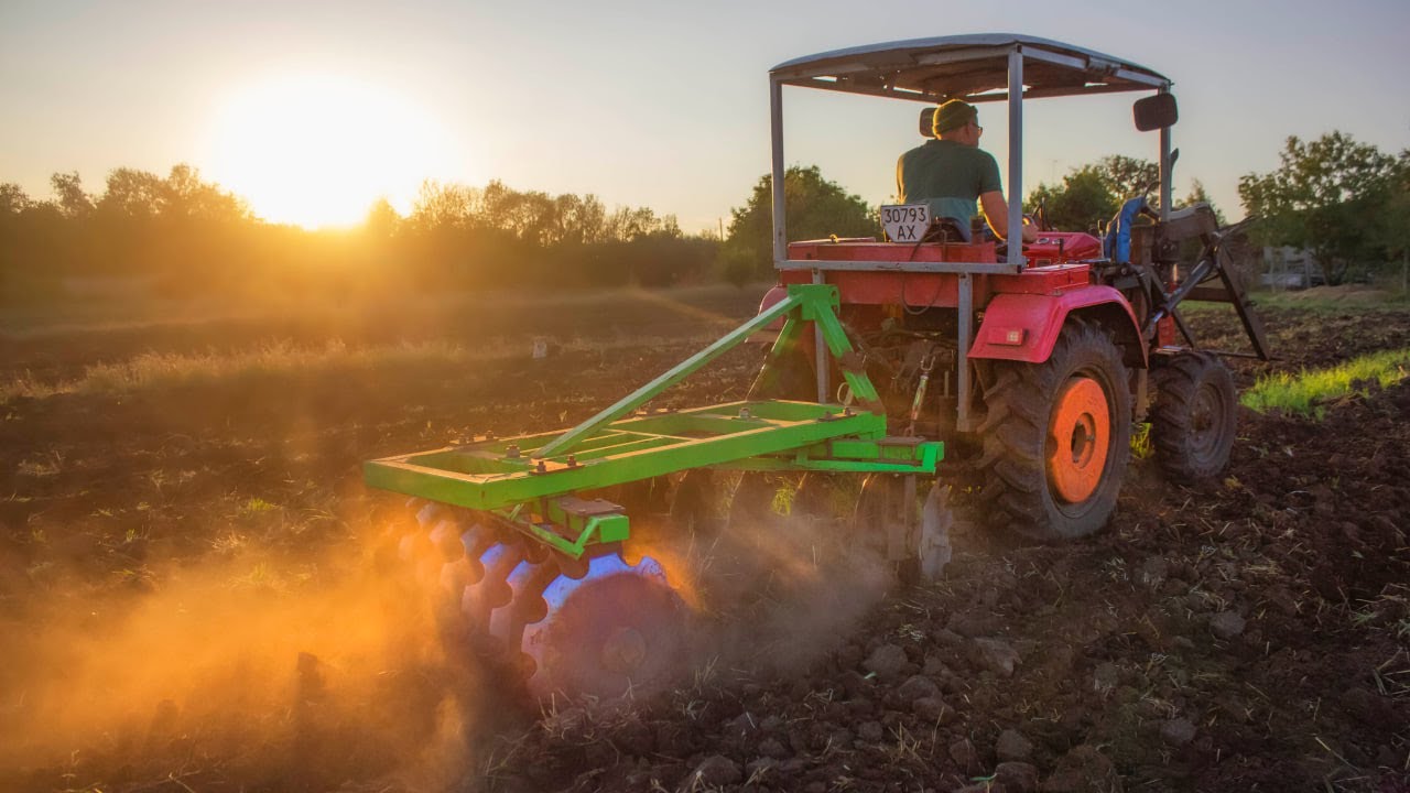 Выжал из него максимум! Дисковка трактором Шифенг 244!