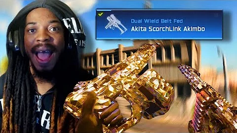 DROPPING 33+ KILLS With the NEW Fully Auto Akimbo Shotguns 😱 | BEST AKITA Class Setup
