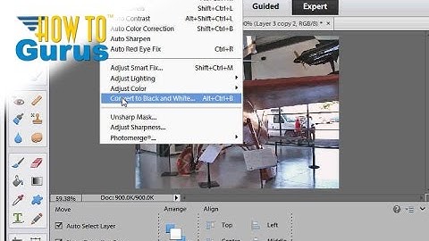 Adobe Photoshop Elements Black and White with Color Techniques : 15 14 13 12 11 Tutorial