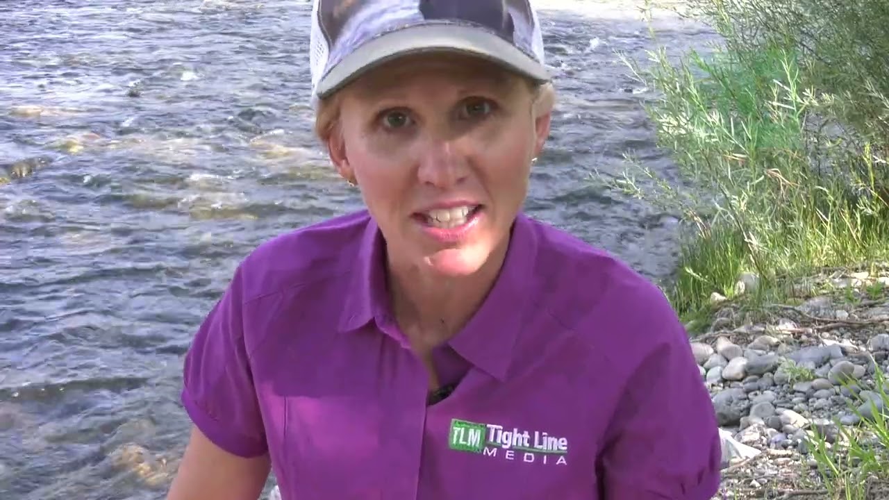 Ocean to Idaho: The Return 1-Migration