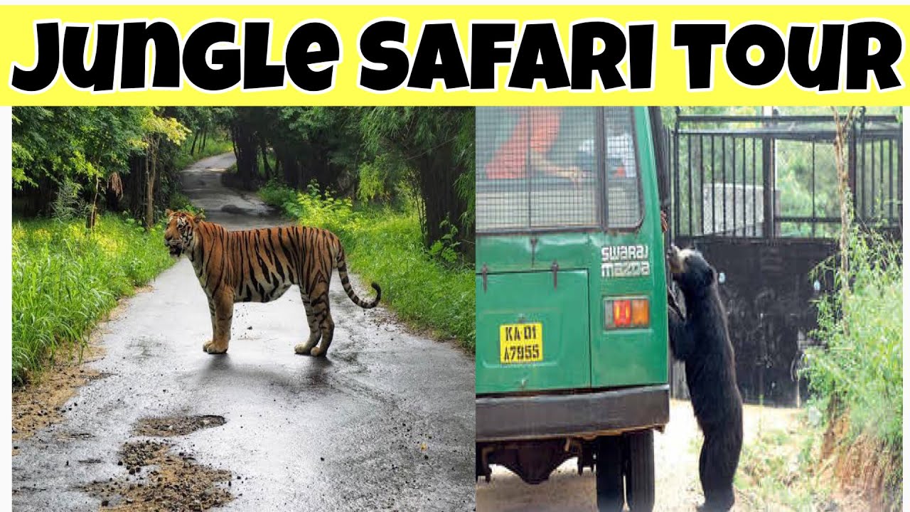 online jungle safari booking west bengal