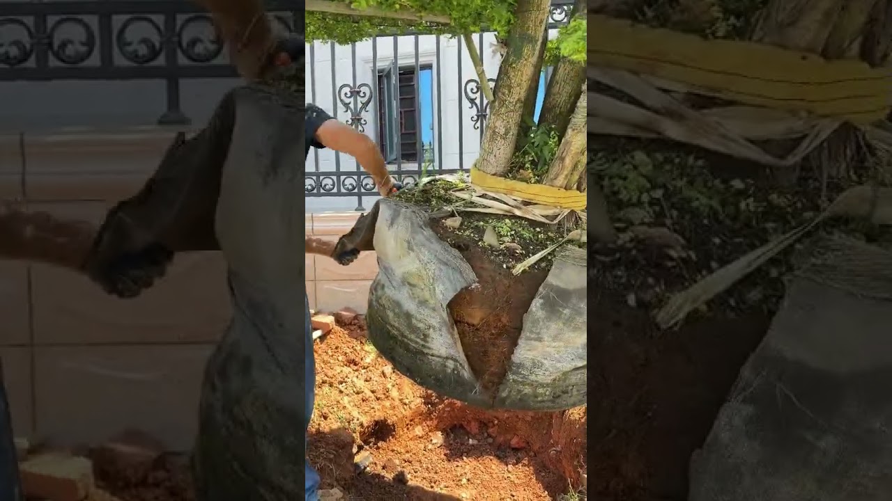 You can see how strength of our grow bag. 👍