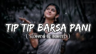 Tip Tip Barsa Pani (slowed & reverb) Romantic Song | lo-fi | | Mohra | Alka Yagnik | Udit Narayan |