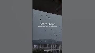 DENIERS OF TRUTH! | Surah Al-Muminoon | سورة المؤمنون | Yasser Al Dosari | ياسرالدوسري