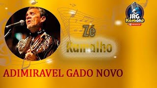 ADMIRÁVEL GADO NOVO - ZÉ RAMALHO  KARAOKE #4