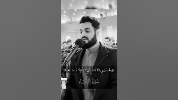 سورة الأَنبياء:رعد الكردي#وَذَا ٱلنُّونِ إِذ ذّهَبَ مُغَـٰضِبࣰا فَظَنّ أَن لَّن نَّقۡدِرَ عَلَیۡهِ