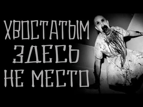 Хвостатым здесь не место. ЯР-МИР 1. Страшные истории на ночь. Мистика. фамильяры