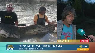 видео: Уловиха сом гигант за Гинес в язовир край Дупница - Тази сутрин | БТВ картинка: Уловиха сом гигант за Гинес в язовир край Дупница - Тази сутрин | БТВ