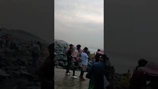 Careful About Yellow Bellied Sea Snake//Mandarmani Sea Beach//Digha Midnapore#shorts #shortvideo