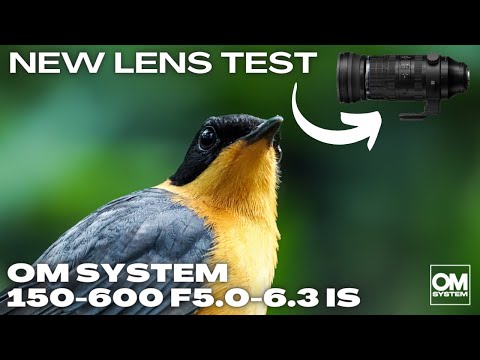 OM System 150-600 F5.0-6.3 IS First Test Results