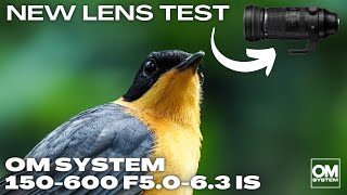 OM System 150600 F5.06.3 IS First Test Results