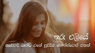 Download Lagu AVATAR Medley - Tharu Eliye (තරු එලියේ) Medley (Live Performance 2024) MP3 Download Lagu AVATAR Medley - Tharu Eliye (තරු එලියේ) Medley (Live Performance 2024) MP3