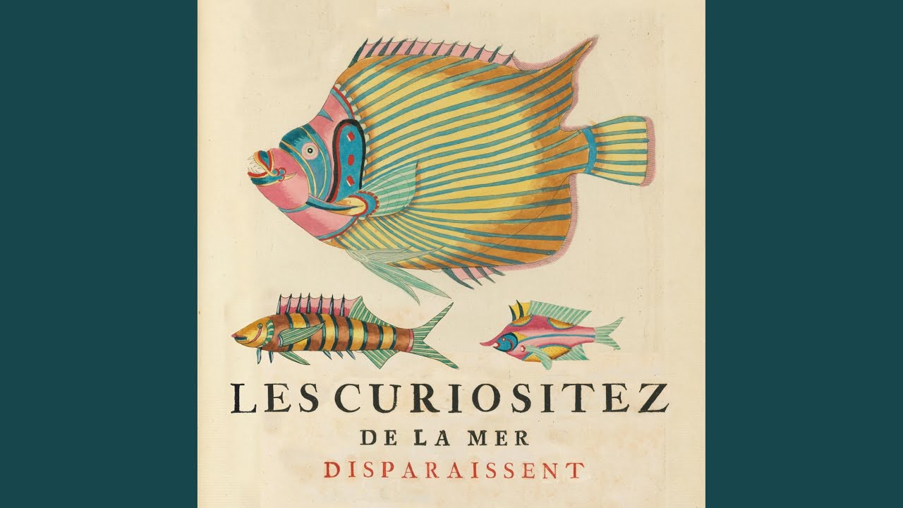 That's The Way It Goes