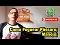 Como Foguear Meu Pássaro - Manejo - Pássaro Fogoso