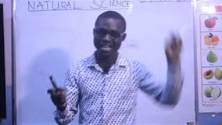 GRADE 2 E  LEARNING PROGRAM  SCIENCE