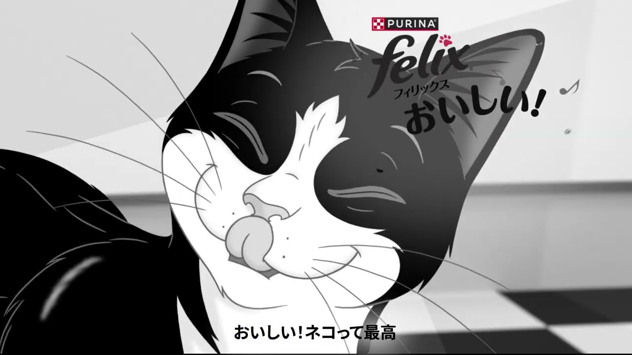フィリックス おいしい！ネコって最高 1日のはじまり 6秒 ver2 - YouTube