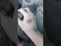 black sand charcoal crumbling asmr satisfying asmr pure cement asmr #crunchycrumbles