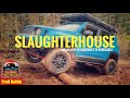 Renegades & Cherokees in a Slaughterhouse Gulch Trail Guide #JeepRenegadeOffRoad #CherokeeTrailHawk