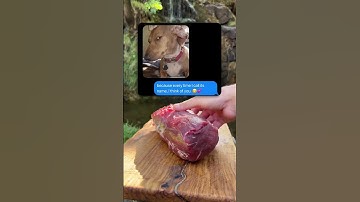 @rizz_app That was so unexpected 💀😂😂 #funny #texting #textstory #funnytexts