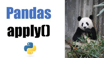 Pandas apply() — A Helpful Illustrated Guide