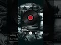 Wingsuite The Birdman | Epic Cinematic Music - Album: IMAGINE #shorts #newmusic #musiccomposer