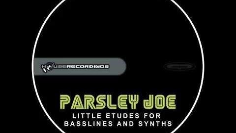 Parsley Joe - Power Up [Electro House | Houserecordings]
