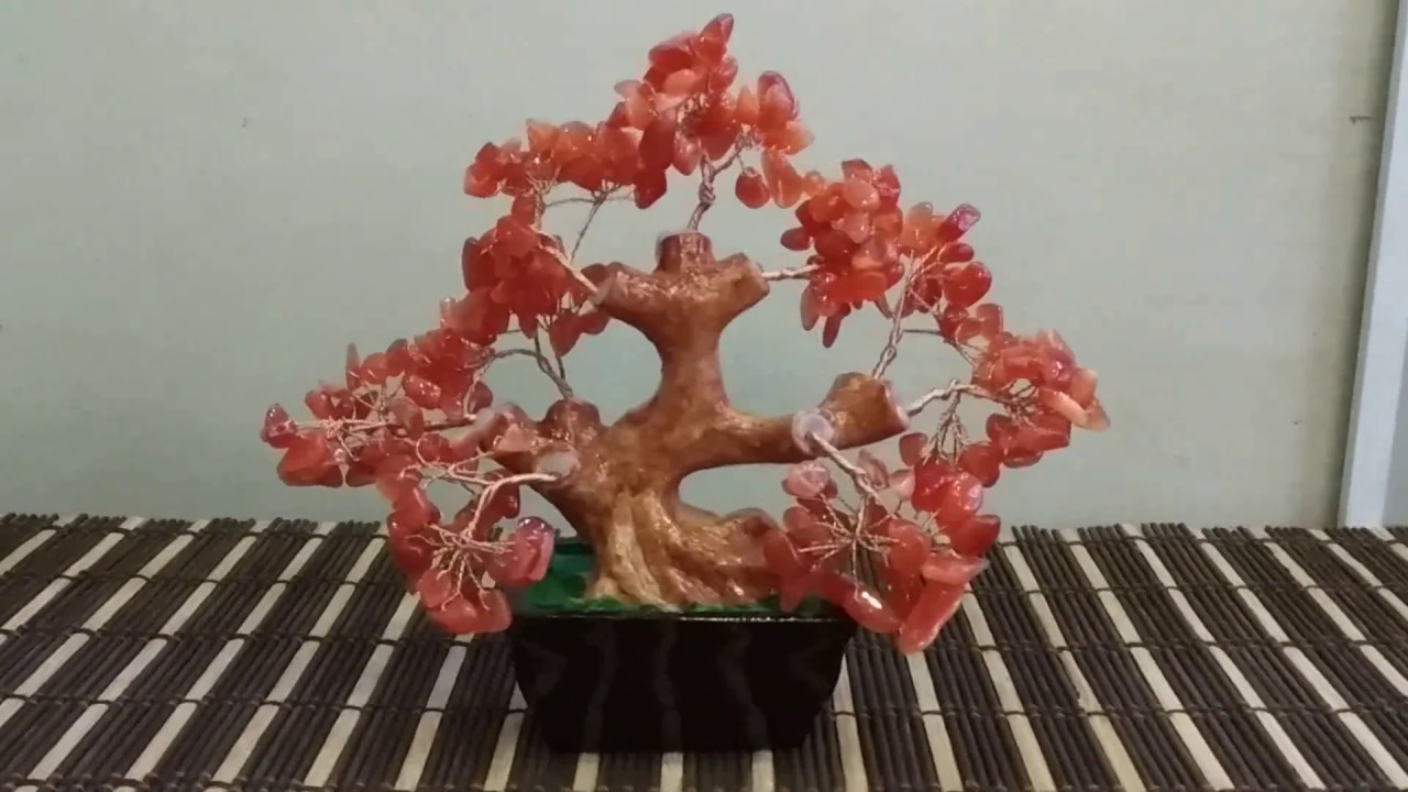 Cây phong thủy, trang trí phong thủy