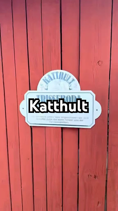 Zu Besuch bei Michel aus Lönnenerga! #katthult #vimmerby #schweden #vanlife #travel