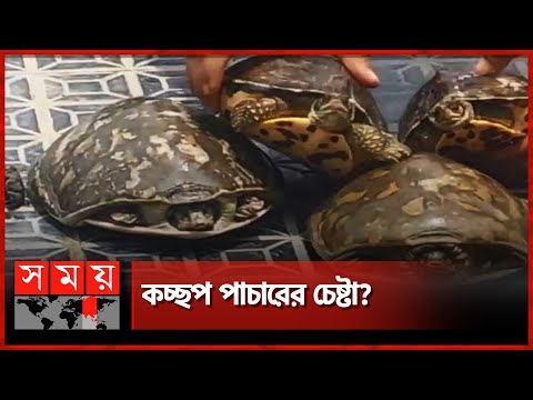 ভিডিও: প্রকল্প 21630 